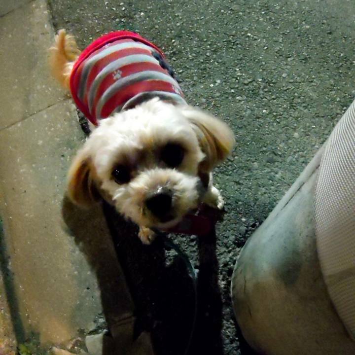 0f627d86 e1fd 4348 beb2 7a49ef8106cc 1578744369401