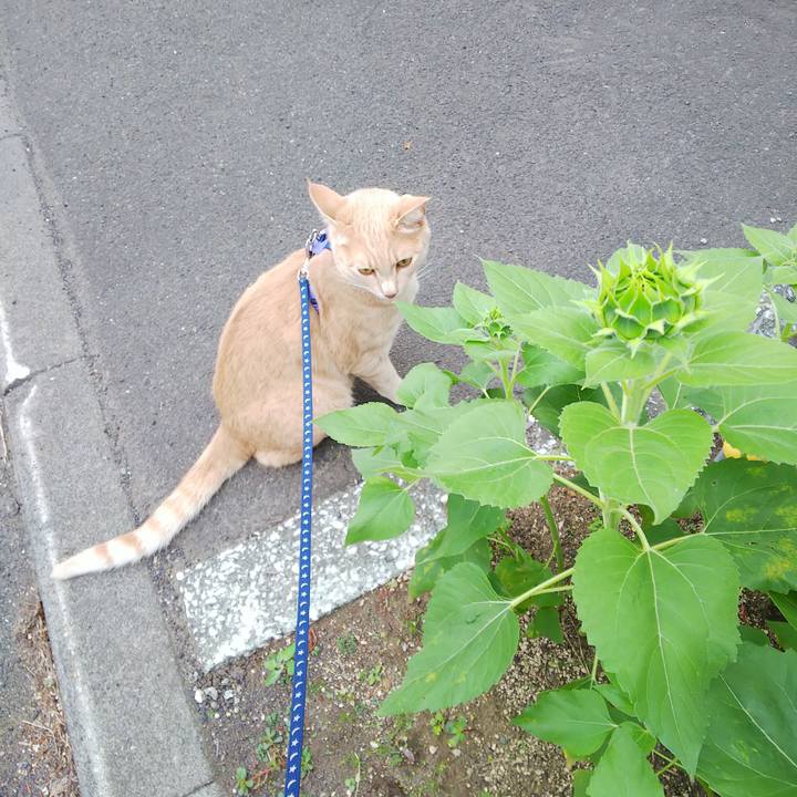 0f628301 54d8 4784 b453 f2a63c26dd22 1566270506262