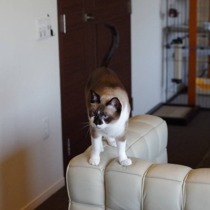 0f62bff9 0ff9 49d5 88e1 41fd0ad58e3d 1532330748375