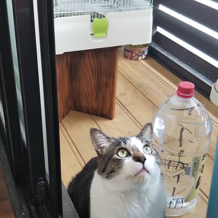 0f62d0ec 2943 4292 b9ce d8cb336a1264 1615546921381