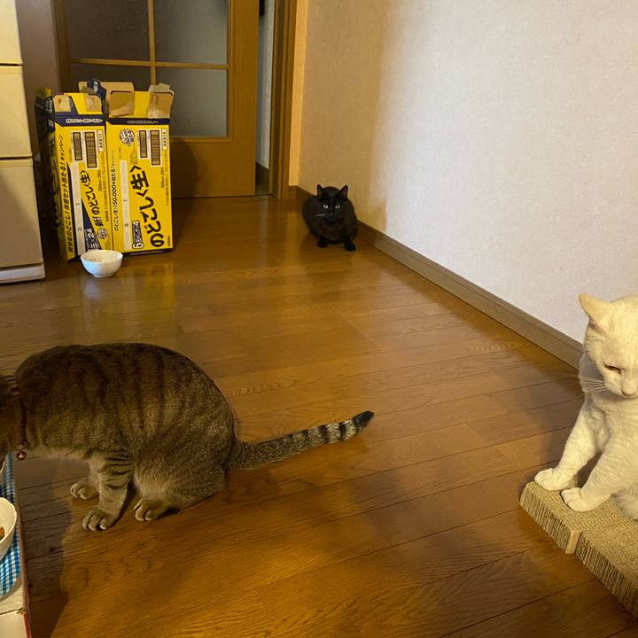 0f6310ef c94b 4ea9 9246 0225bc0e40b9 1620766214299