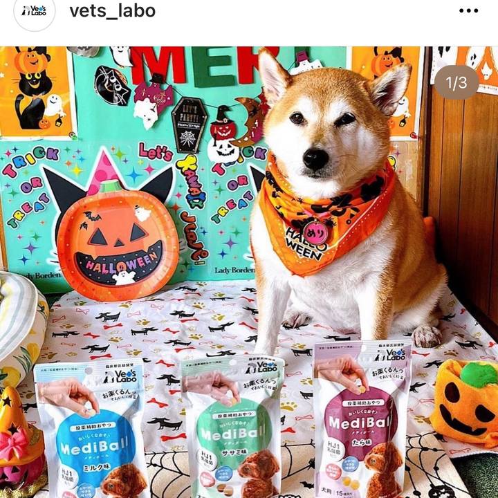 0f631698 f249 4a44 9297 f7692540d618 1666259225503