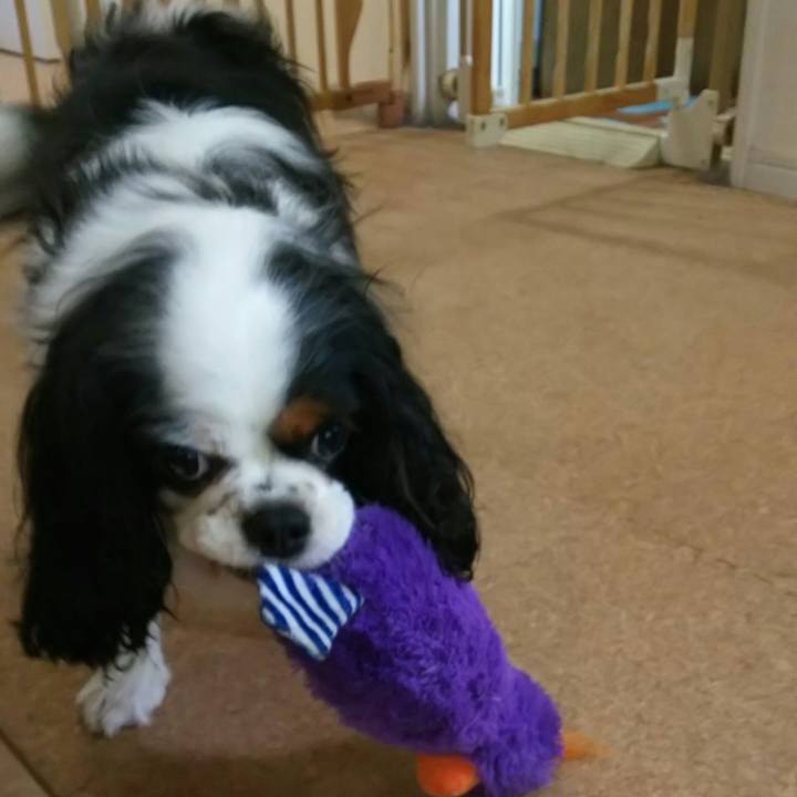 0f631e83 4ac9 4a1c a747 d3dd072118d3 1529539239443