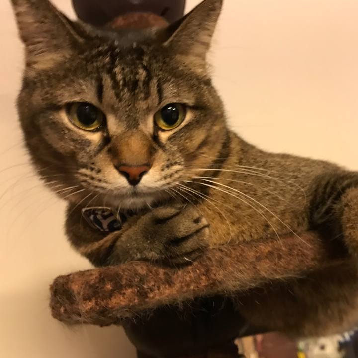 0f6342dd c0dd 4d64 8d3c 31f114351b6a 1516276464737