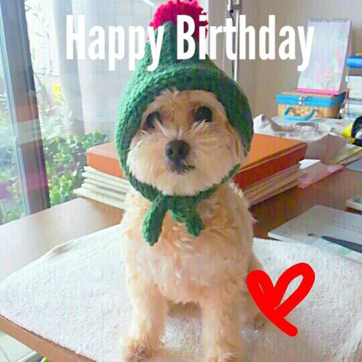 0f63443a 5722 4c0a 9912 2ac7f3d06a12 1570972500537