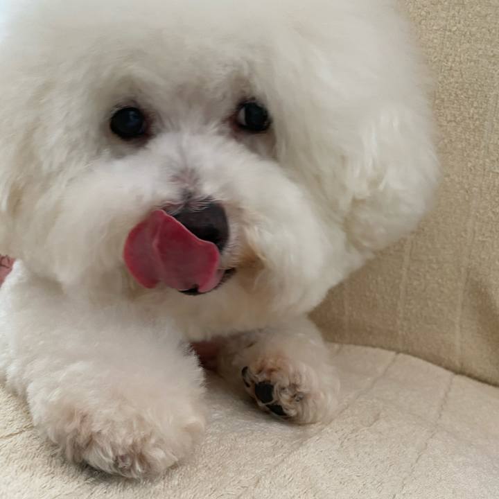 0f638dd9 20ac 4f29 bc13 4f839fedf8fc 1619930868693