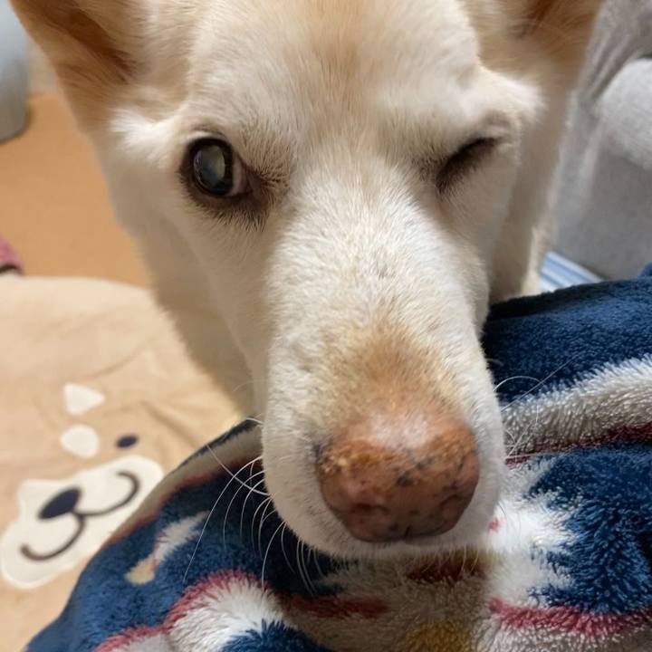 0f63a1a0 bece 48ba 924c 4691b5773d25 1653753803469