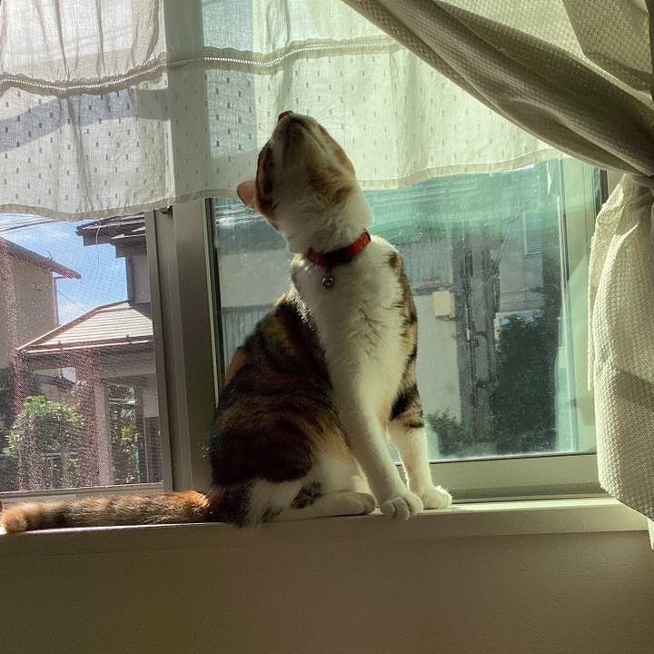 0f63a690 0c67 4d84 b6d3 88c2aafe1d52 1665961510649