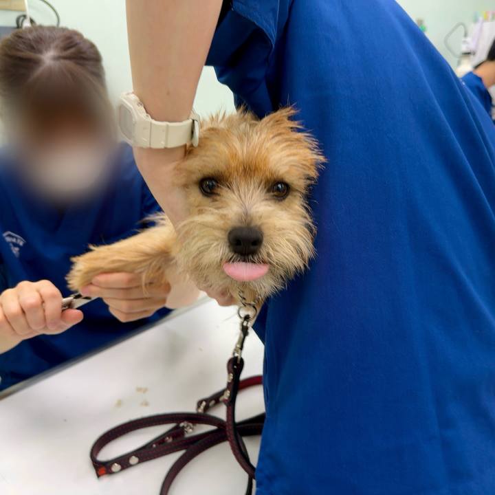 0f63a77b 1362 471e 87c9 31a13b8f94c5 1722250916836