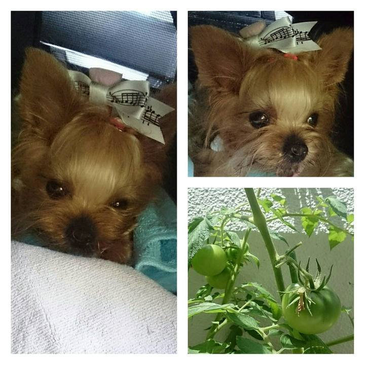 0f63b8ed 442a 4b48 932e 6004a9dca1a9 1530430275072