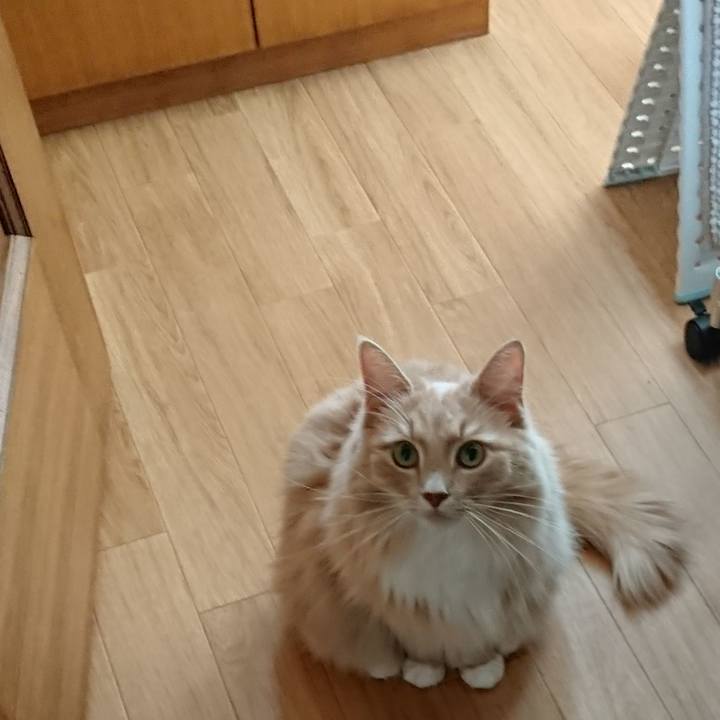 0f643d4a 6e2f 4fa1 a27c 2ce2c8df550f 1535613775076