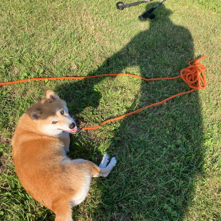 0f644952 837a 4b05 8b0e d9c46a3c9dc8 1725520353589