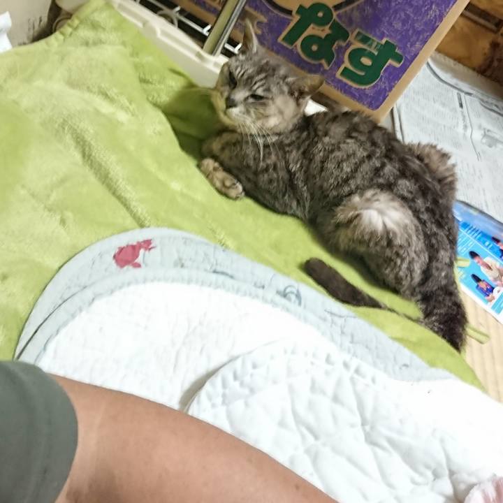 0f6468a0 b353 4f54 b8e3 f65b7a64135d 1596974698562