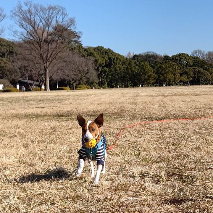 0f648513 c117 4e0e a4db 46199cc977cb 1641724023576