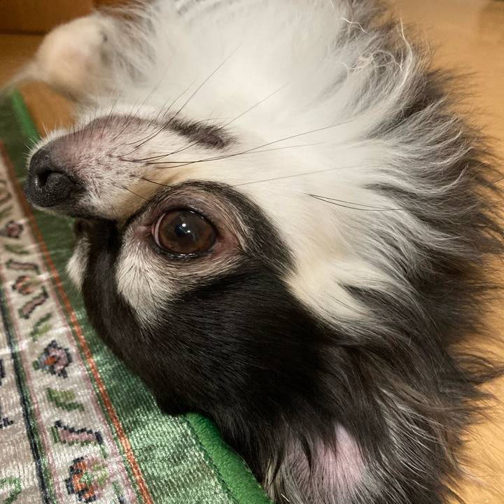 0f649726 7656 4e25 a057 6849f60e2f10 1655645633364