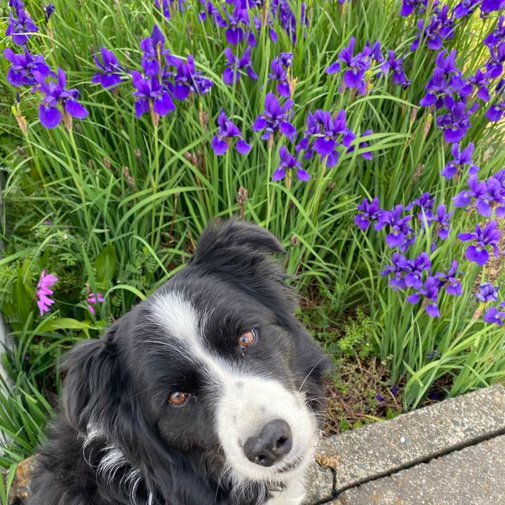 0f64a749 5600 4586 86e5 569fd6f0b4bd 1618706247994