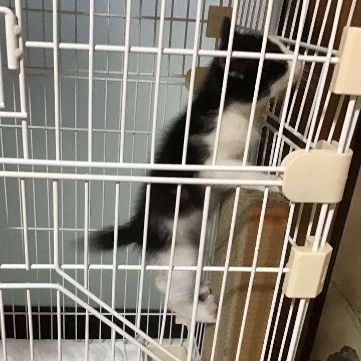 0f64ab12 3e74 4912 8bae 31da4336dd90 1622801631884