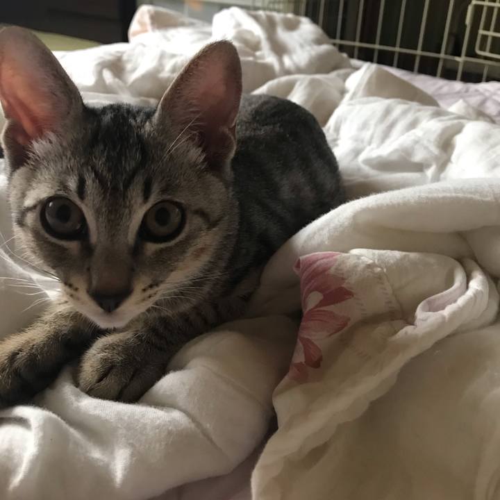 0f64d359 f998 475f b4ee 1f6f9f17a68c 1565819940179