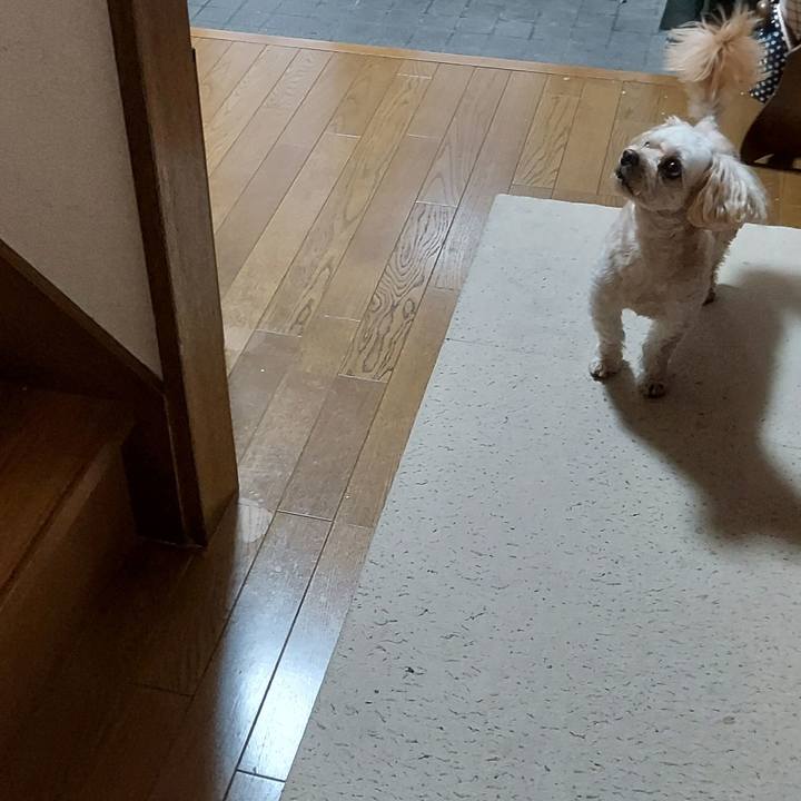 0f64de2f 46f0 4cf8 a0d2 13147ee959de 1631572342888