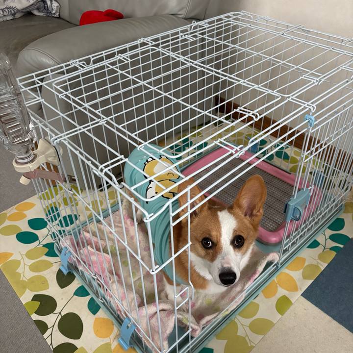 0f653014 7638 4636 865c 5b0f154f67e5 1759560108104