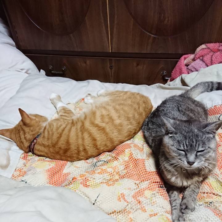 0f65415e 1d32 4905 8137 9d86943b1a7f 1567429225246