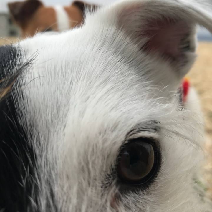 0f658f81 a316 4256 aa99 48451b99b393 1519174317165