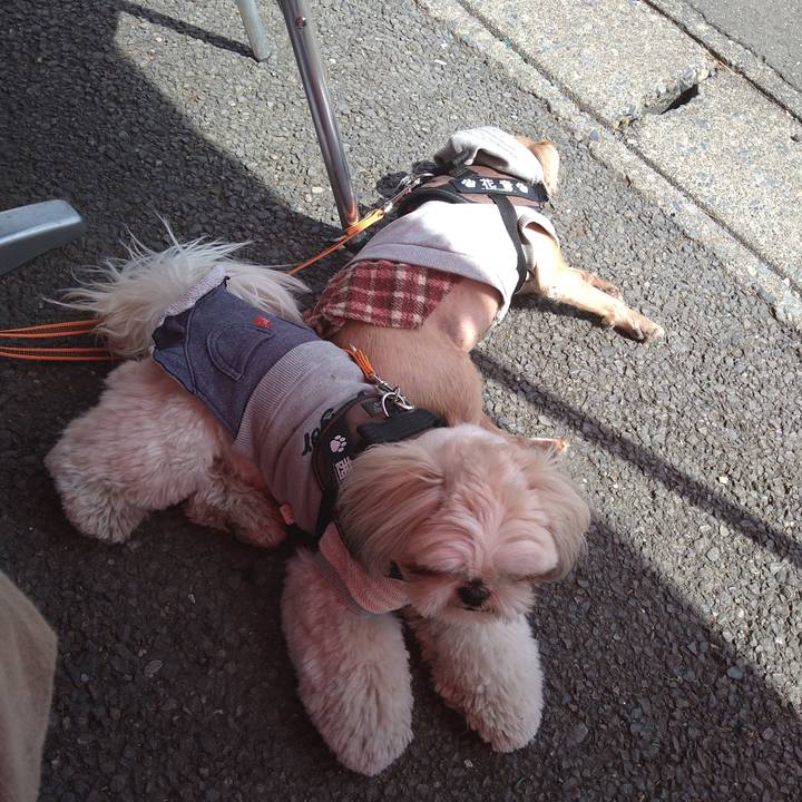 0f659d3c 0b4b 4095 8653 1501c15f66e6 1619503649575