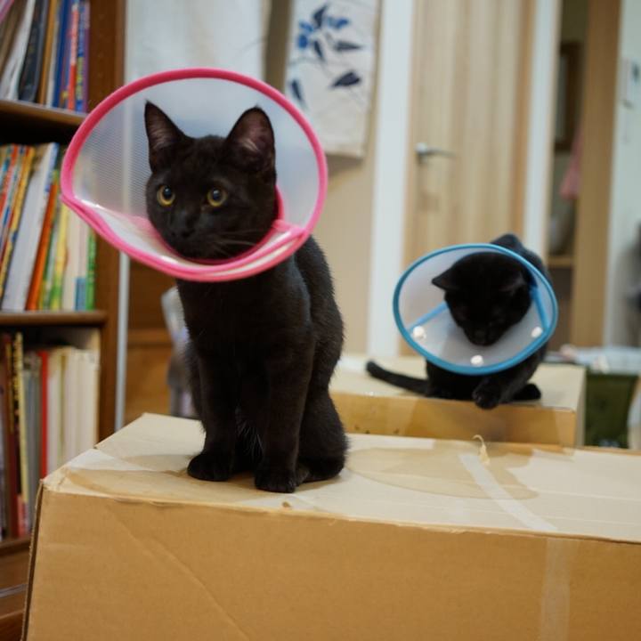 0f65b8a6 414c 4230 8bcf 91b397f92113 1511964129212