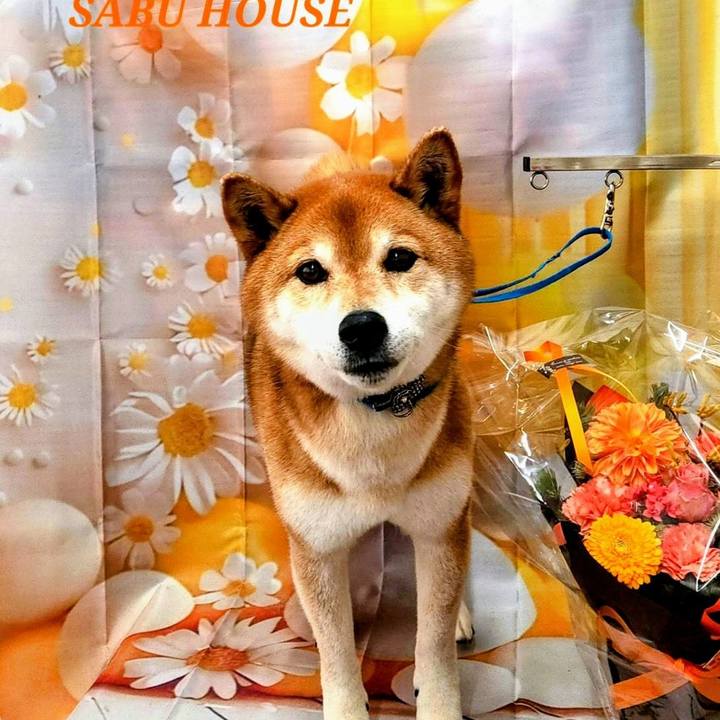 0f65d8ab 960b 40a6 83ab c43352c00abb 1746596691412