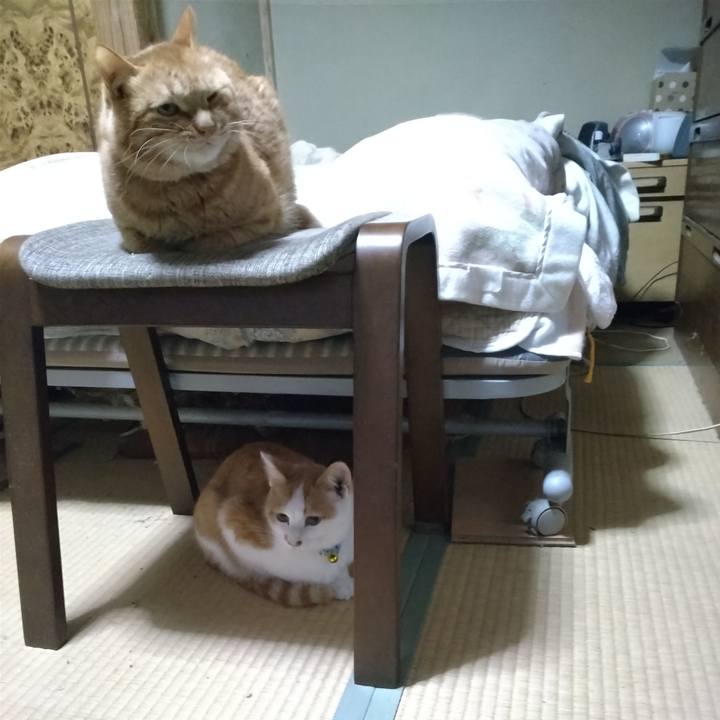 0f65f7b8 cbf9 43a4 8f90 a366c53aee01 1733177294666