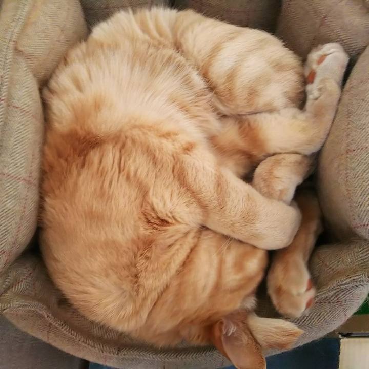 0f65ffe5 d321 44ec bc4a 9ddaf8577fb0 1677911492052