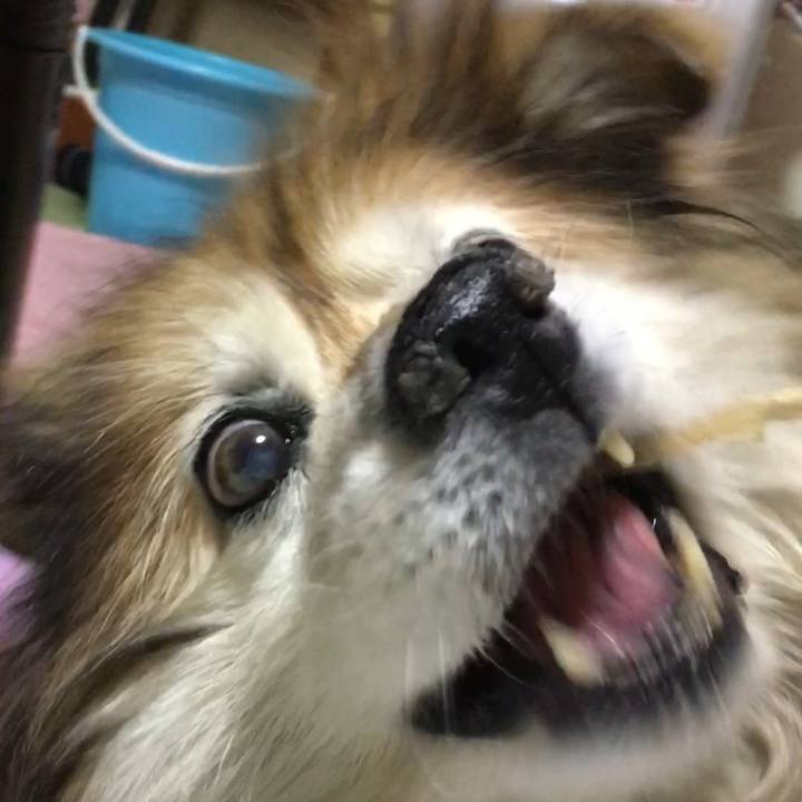 0f6618c9 476e 40c3 a22e 9b860f2a5868 1616813736955