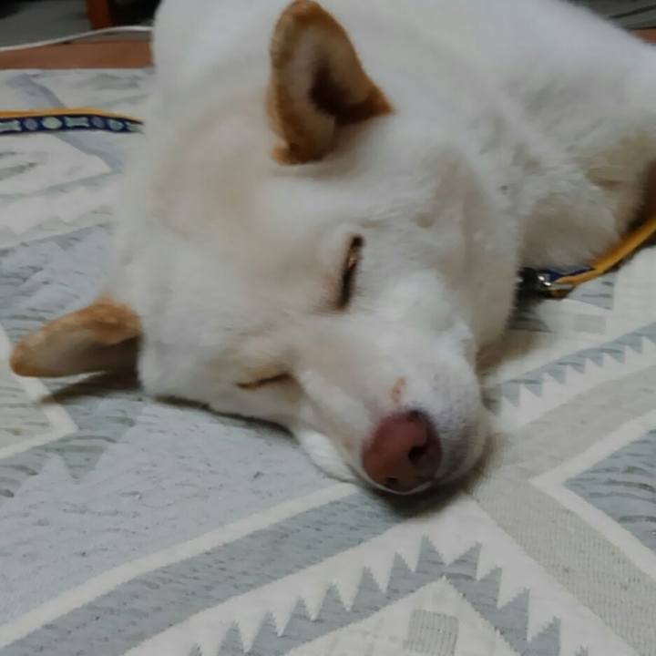 0f661b32 c340 4b42 b00f 46cb454d025f 1519819204343