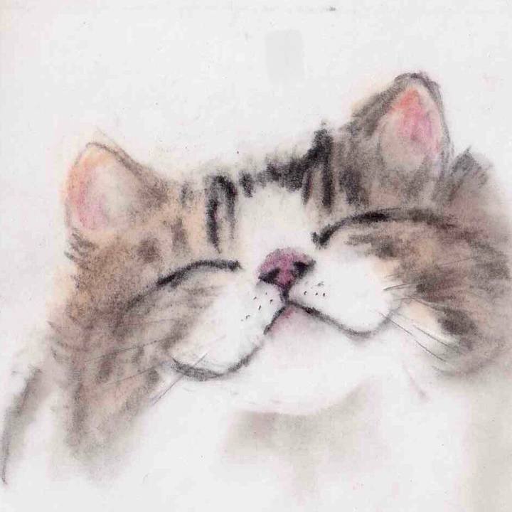 0f66236a 5963 4064 97e8 fe758cd2b0ed 1660142365188