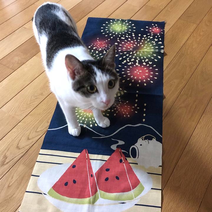 0f669a75 1f20 4d30 90b7 63d76f3761ad 1596893558236