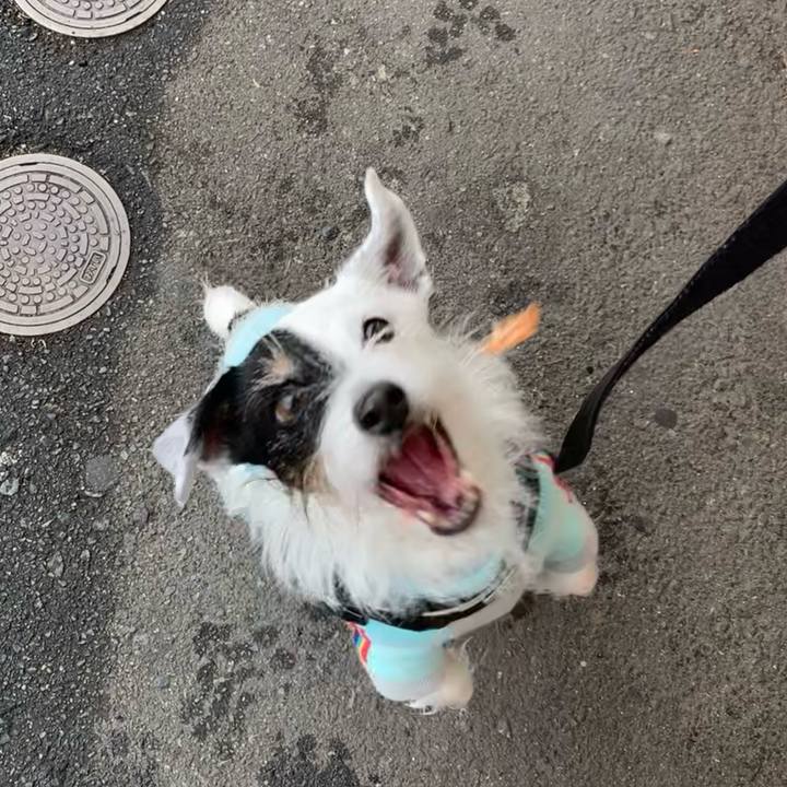 0f66cdf3 be36 4f37 b98c 1693881cae7f 1732148119772