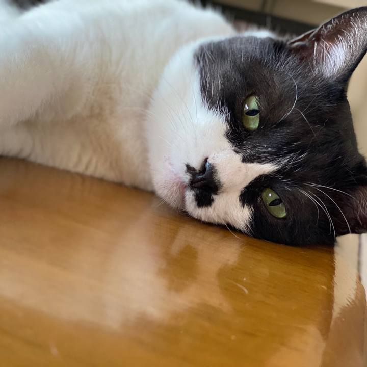 0f66d8f2 60af 4d6e 9966 da5e112b2ab8 1599178050251