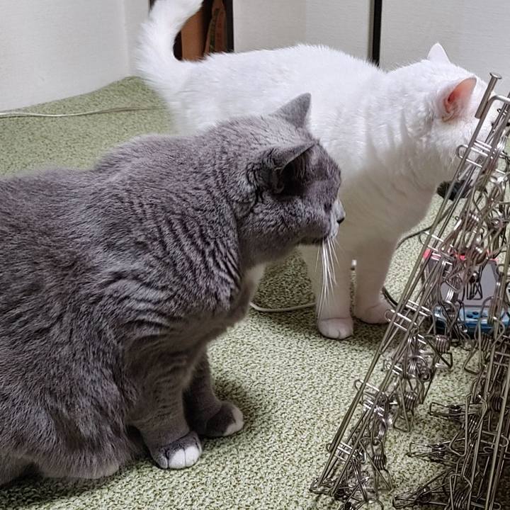 0f66e7d3 523f 4f03 8e32 f6f6b0f9c198 1657108055581