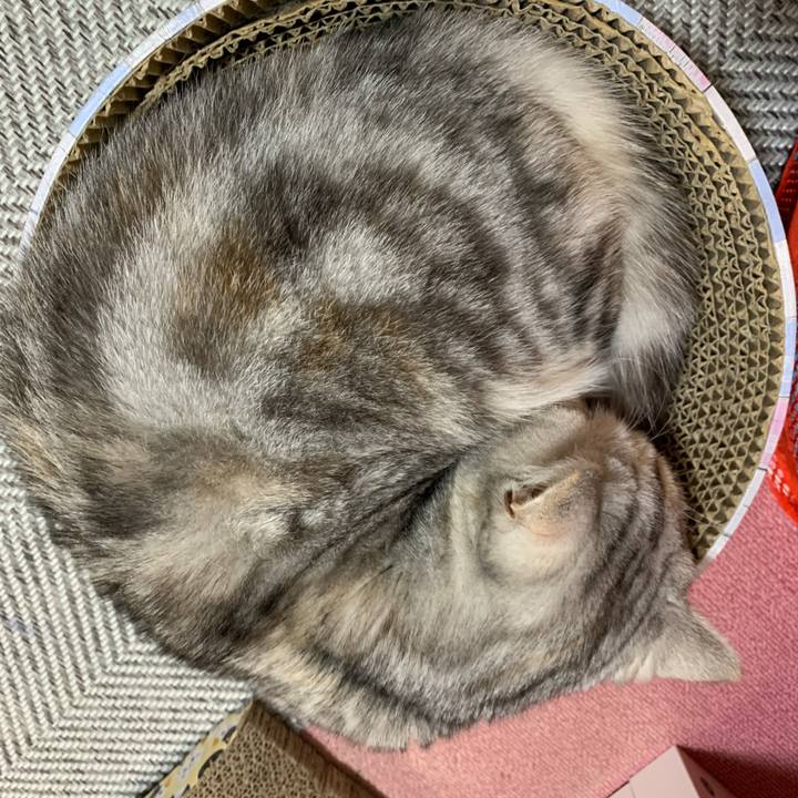 0f66e9df 7c19 4424 b72e 3e2387889b8a 1707909976630