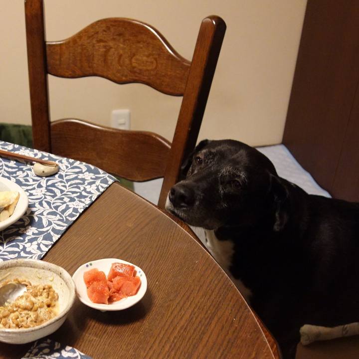 0f670c8f 5670 4f19 b93c d75ebd1f6a46 1749513313339