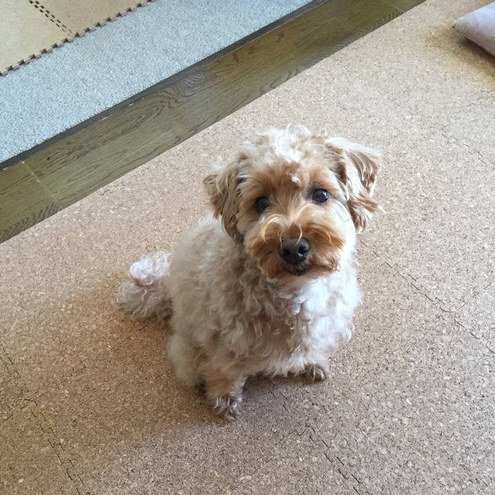 0f676b18 be65 42b9 ad60 32ced7be7b80 1521337126881