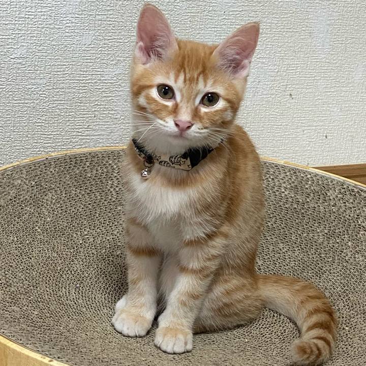 0f677013 bf23 4141 8fe0 ab14af8ac9dd 1697714838824