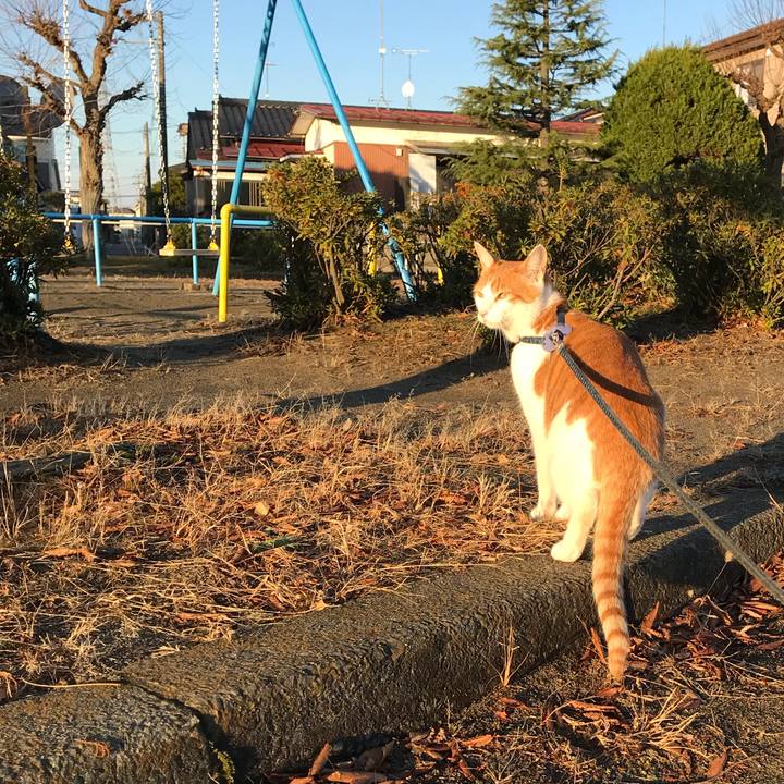 0f678f70 93c6 4865 bc62 f572cb3b3f0f 1511512080766