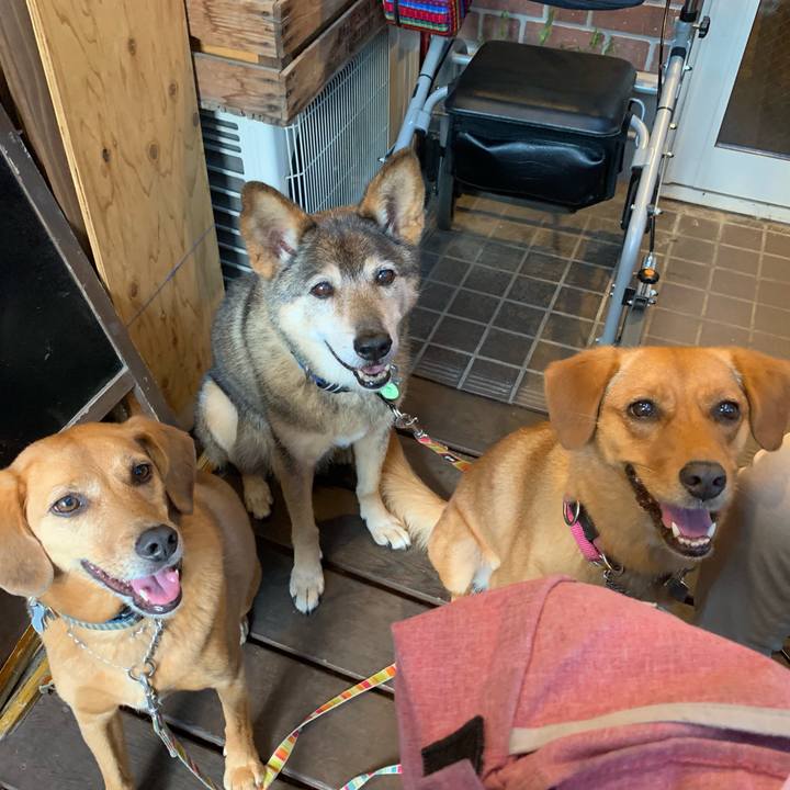 0f679640 aa78 49af 8efd c371755a0955 1564221381040