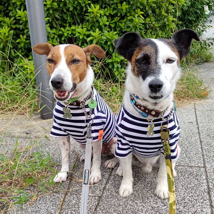 0f67a9c1 95b8 4fdc a4ed 5fd754da253b 1664405767199