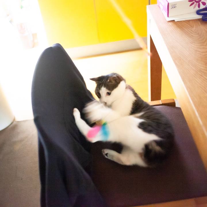 0f67ae7c 49bc 4550 9a11 f77657f9ca4c 1595906956354