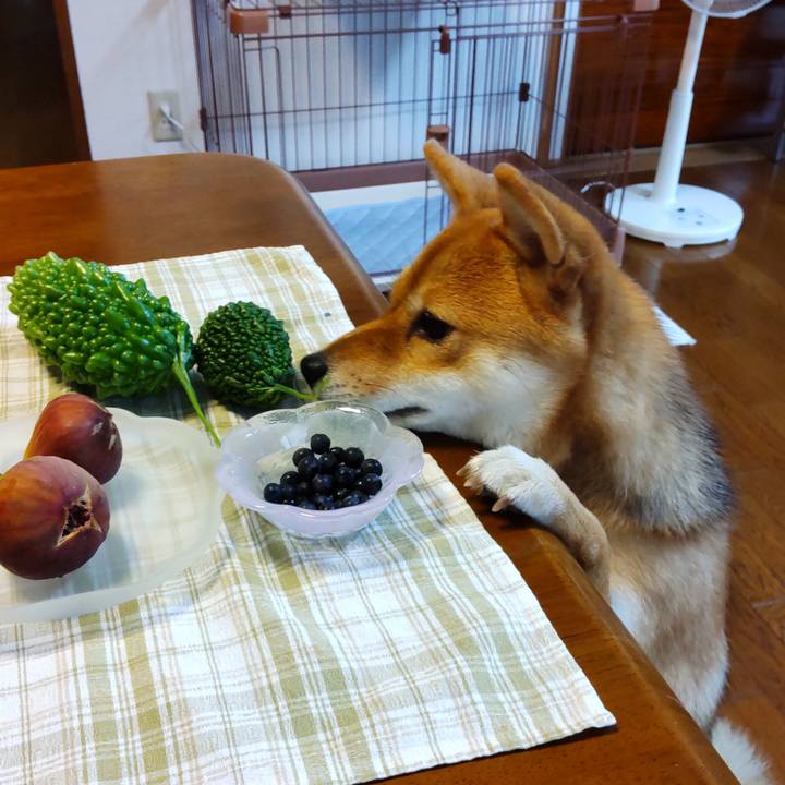 0f67c94c e869 4d34 ab4d 2fd25092f8b5 1631403035569