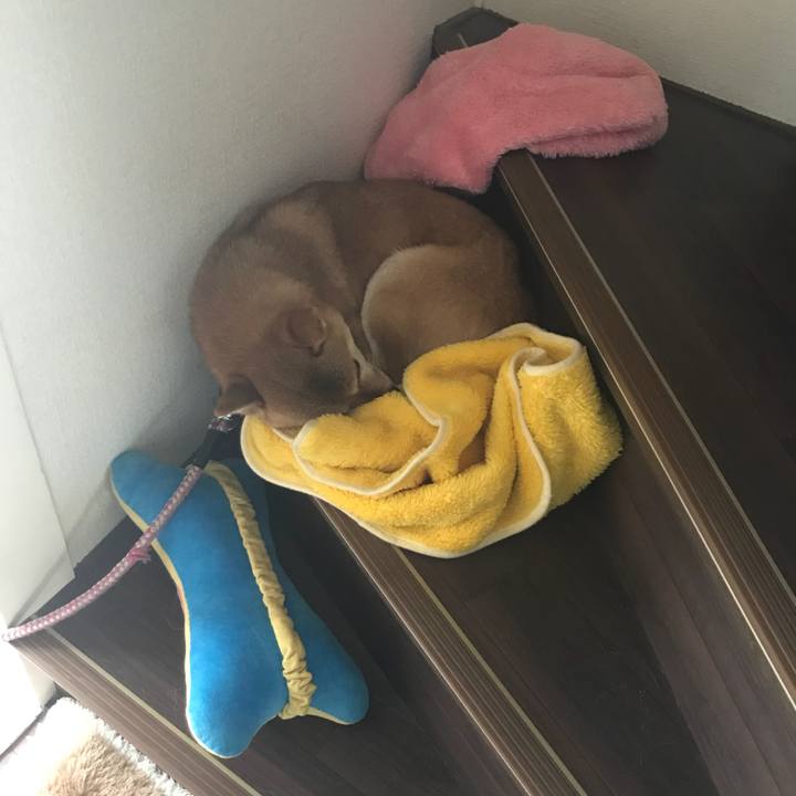 0f681de5 946c 4866 ab2b a66b534da19b 1520307997486