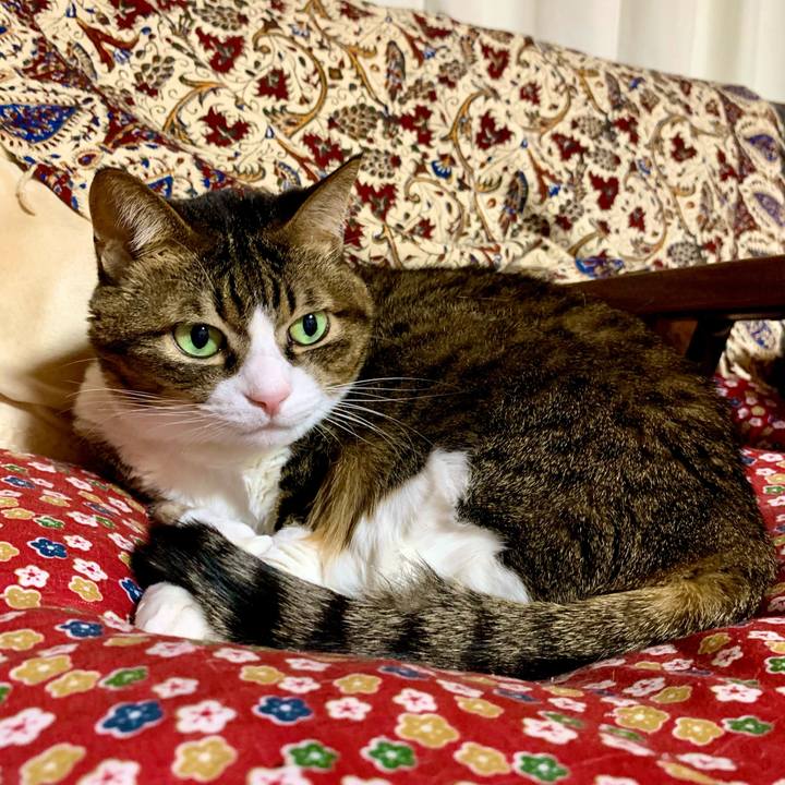 0f6836d1 3fb5 4f42 9e57 de0ad368effc 1610279887025