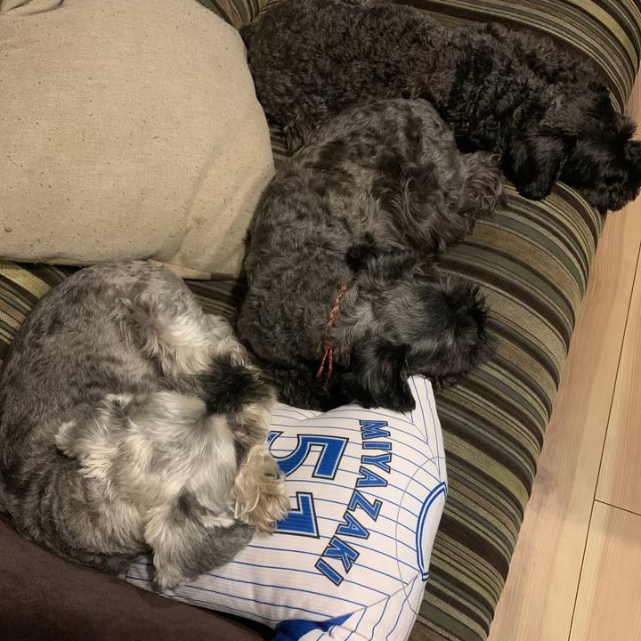 0f68775b 0be7 4d37 8f41 420a9cfd5e34 1599656451473